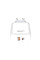 Мережевий зарядний пристрій LDNIO A2526C USB / Type-C QC PD 45W, White + Кабель Type-C to Lightning